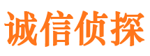 防城市私家侦探